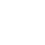 ft-irondog